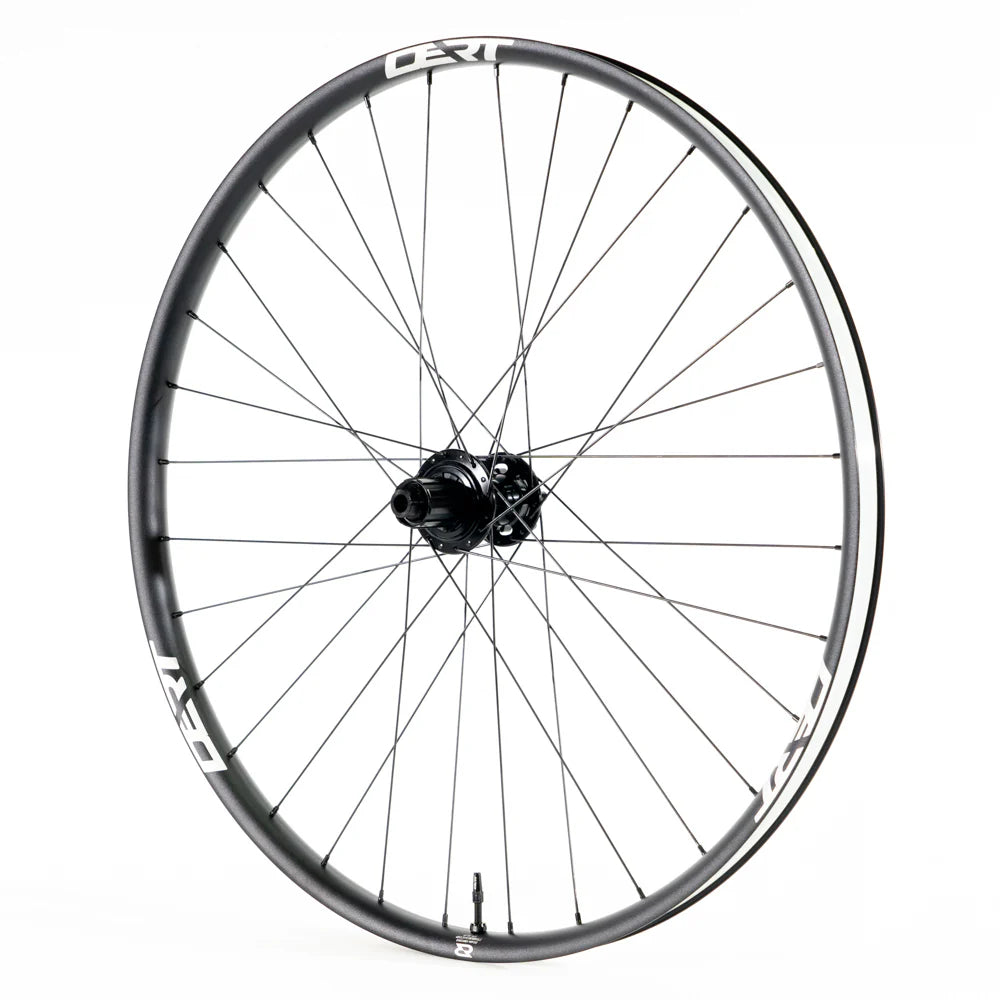 Dert Alloy Rear Wheel 12x 148 Boost