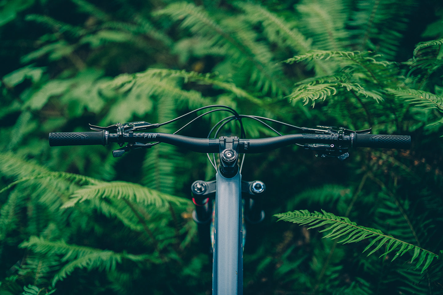 PNW Loam Handlebar Carbon