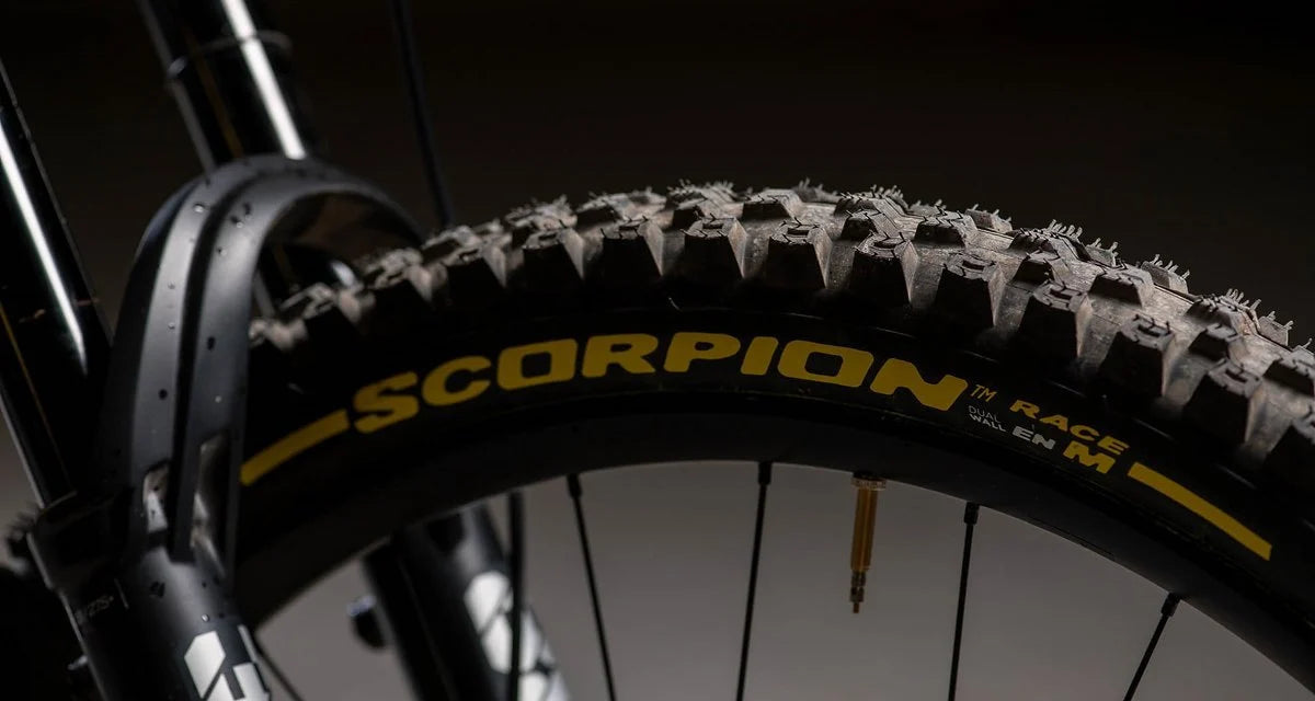 Pirelli Scorpion Race DH M