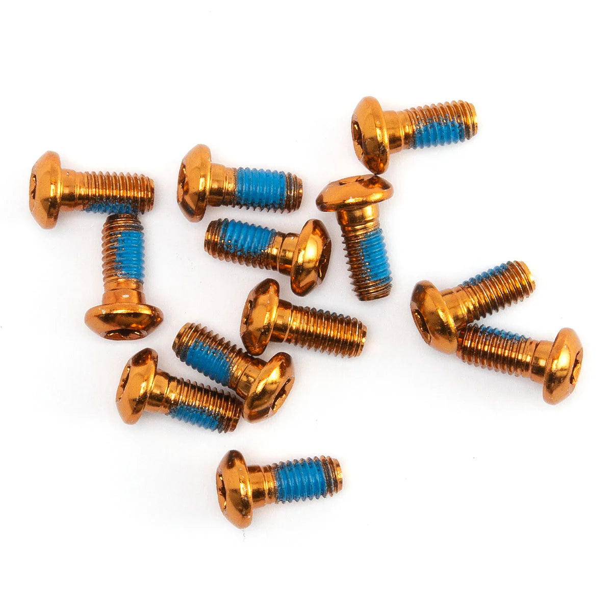 Cleanskin T25 Rotor Bolts - Pack Of 12