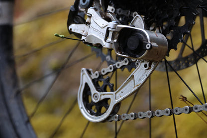 Madrone MTB Jab Derailleur