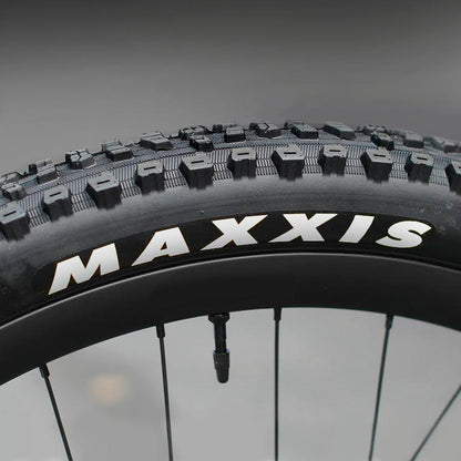 MAXXIS (WHITE LOGO) AGGRESSOR 29 X 2.5 WT/DD/DUAL COMPOUND/TR OEM