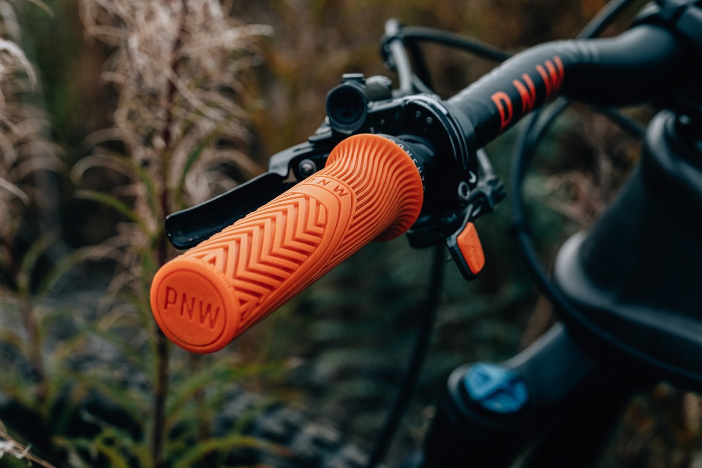 PNW Loam Grips